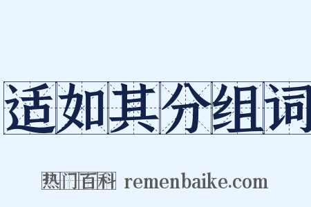 适如其分组词是什么意思的图片